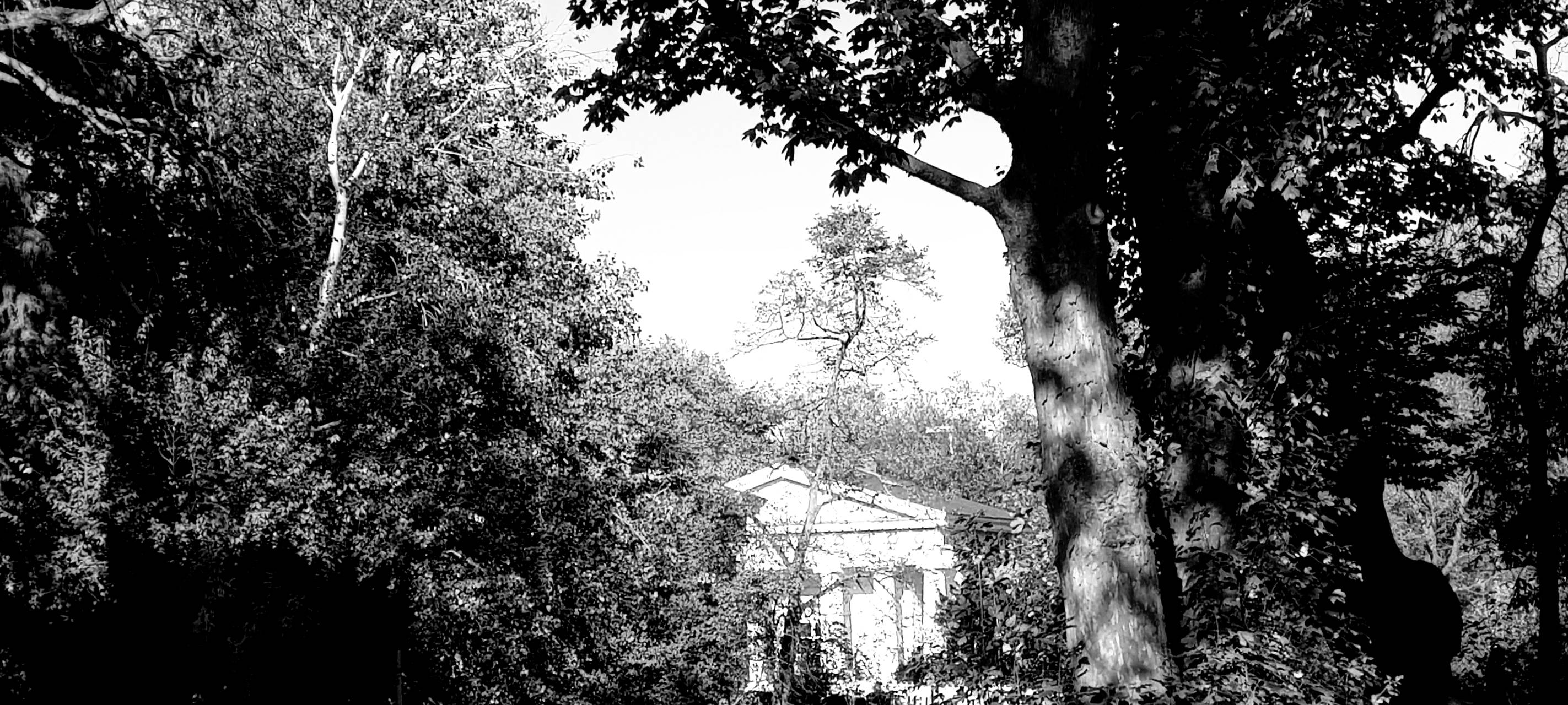 Düsseldorf: Geständnis im Prozess um Vergewaltigung im Hofgarten