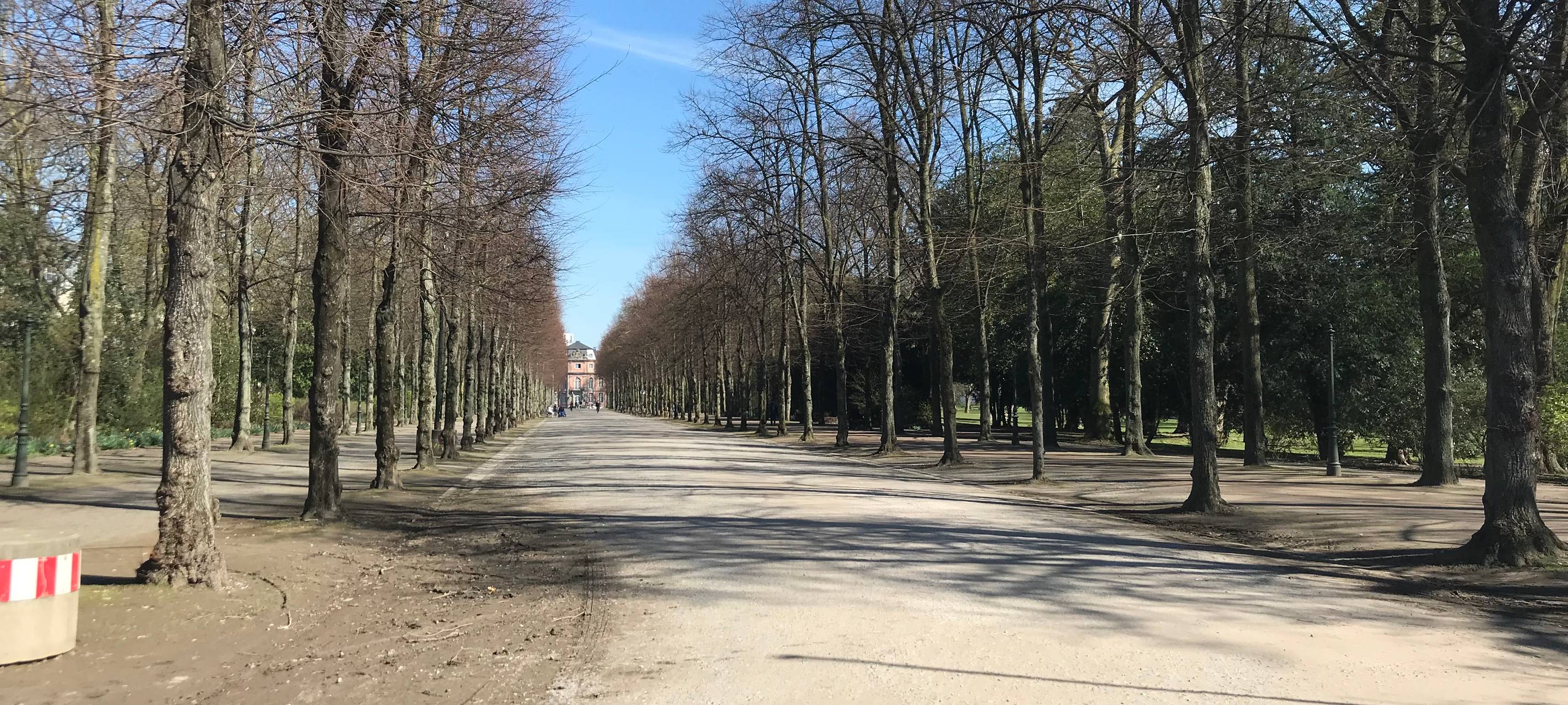 Wege im Hofgarten werden saniert