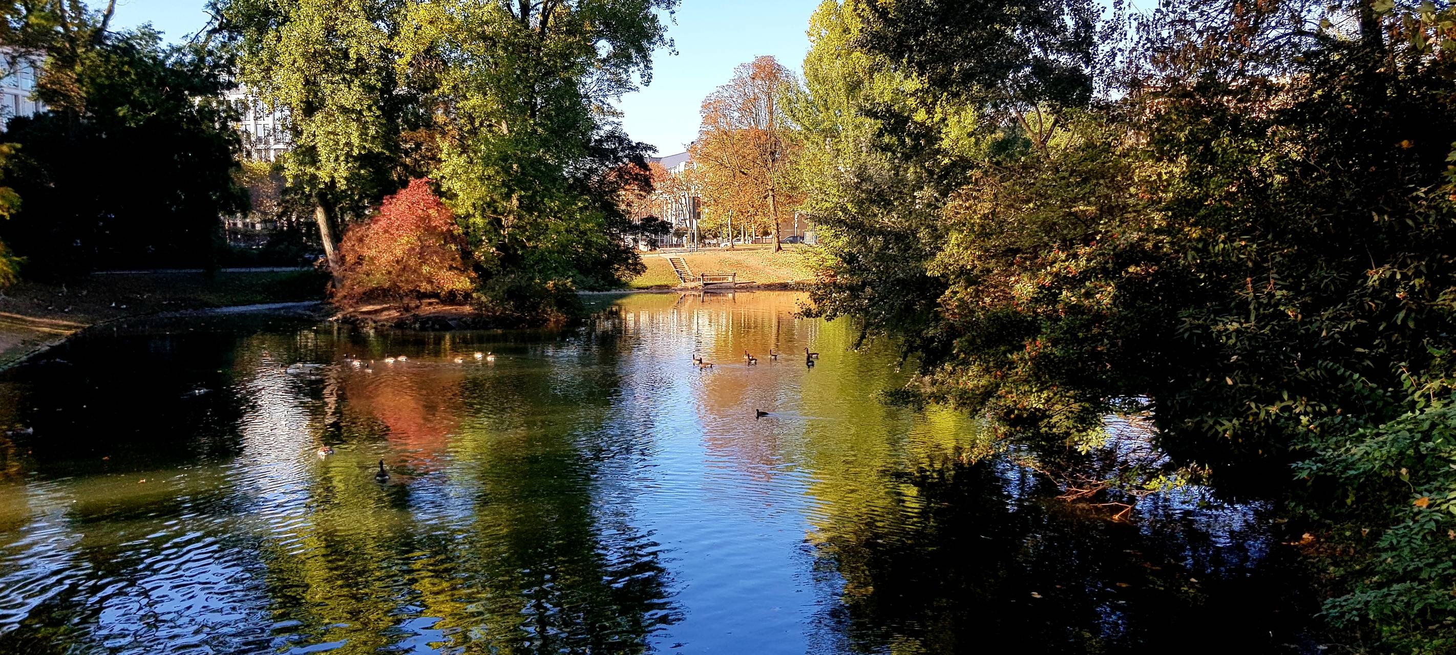 Hofgarten-Sanierung geht weiter