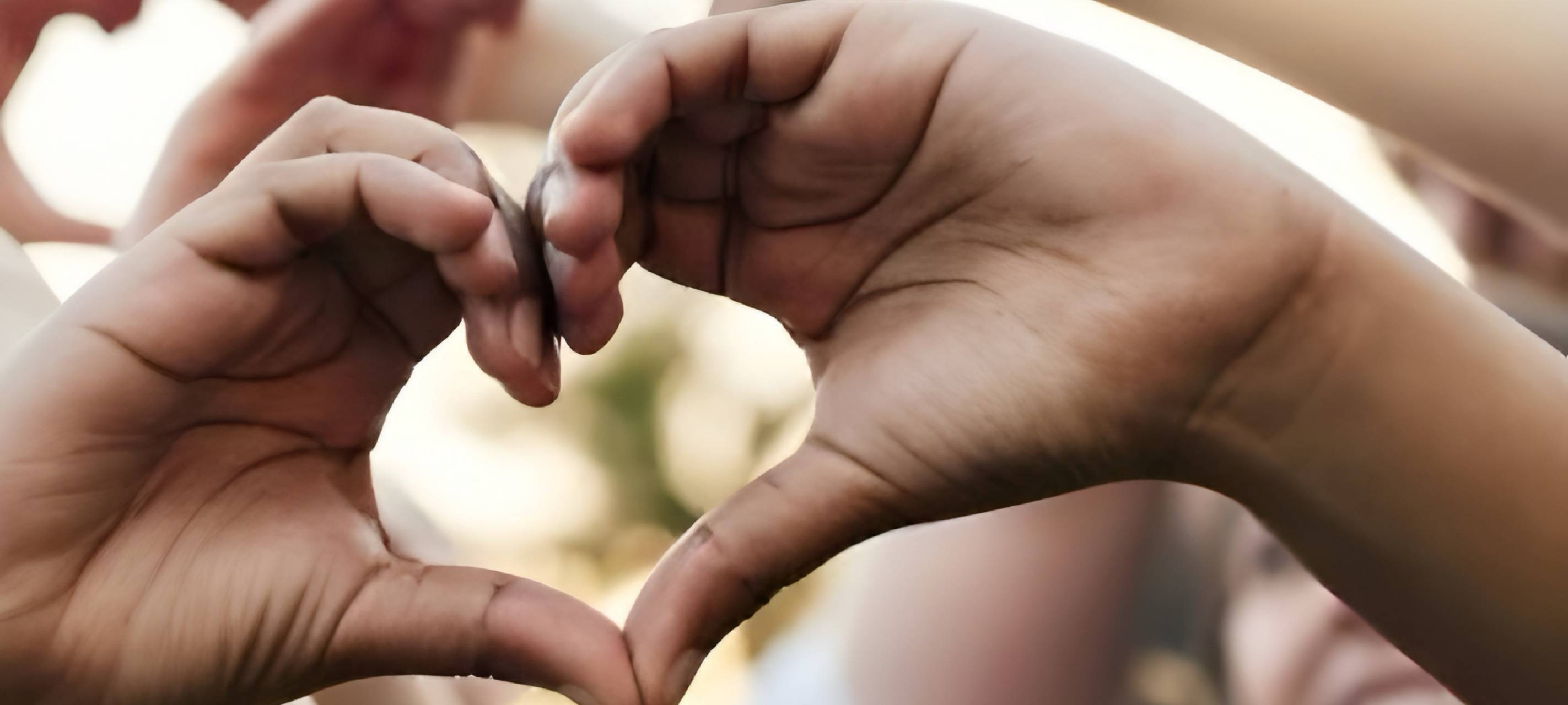 Der Jahresbericht der Zukunftswerkstatt 2024. Auf dem Titelbild sind Hände zu sehen, die zu einem Herz geformt sind.