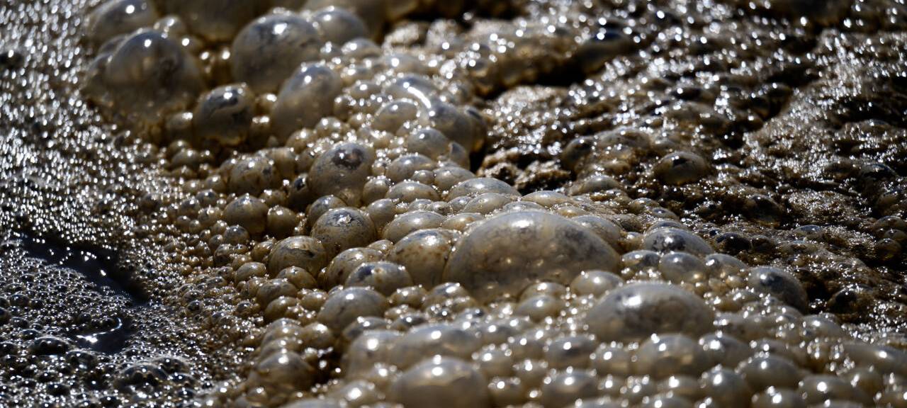 Abwasser in einer Kläranlage