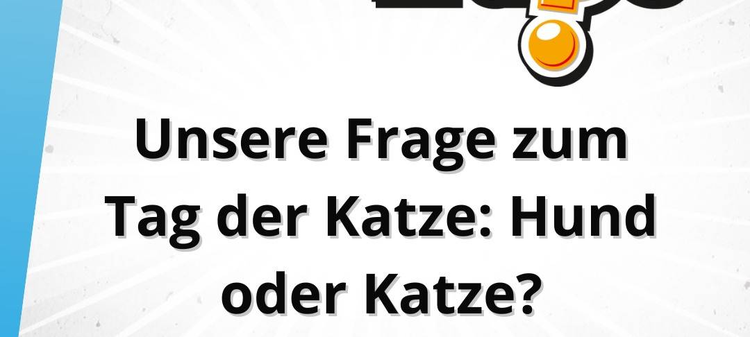 Freitagsfrage vom 8. August: Hund oder Katze?