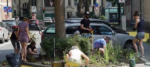 Mehrere Anwohnerinnen und Anwohner der Paulusstraße bepflanzen ein Beet um einen Baum herum. Im Hintergrund sind parkende Autos und die Straße sowie eine rote Ampel.