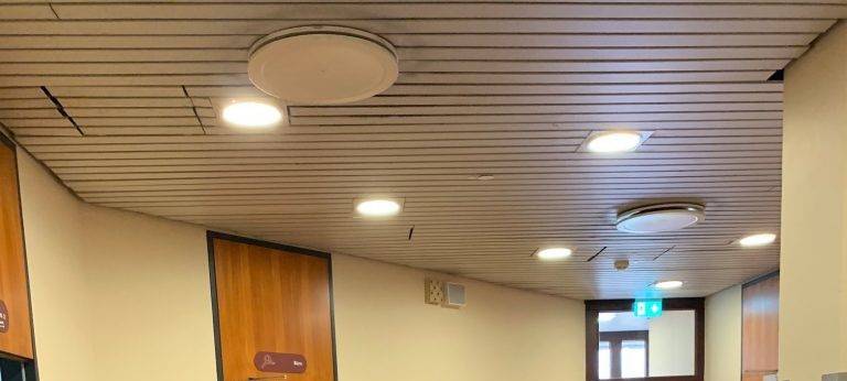 Toni Tenne feiert Kindergeburtstag