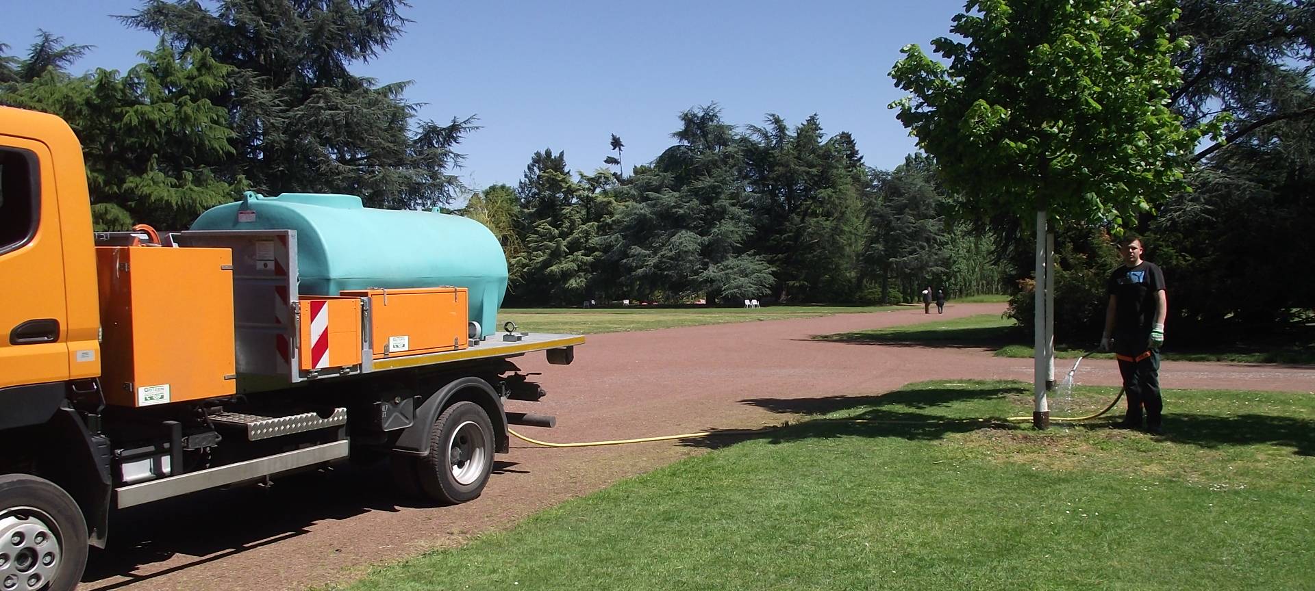 Hitze & Trockenheit: Auch Bäume können gestresst sein