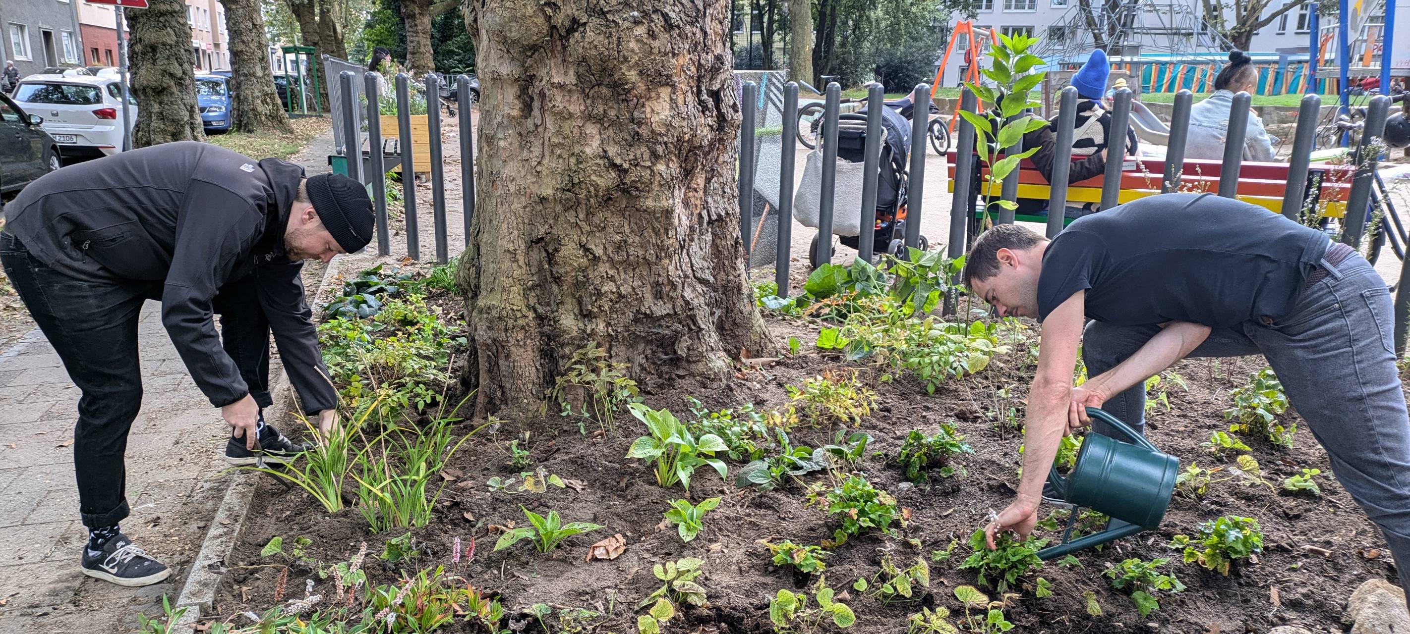 Die Nachbarschaftsinitiative "Hermann blüht auf" gestaltet den Hermannplatz in Flingern-Nord mit Baumscheibenbepflanzungen und Hochbeeten aus heimischen, insektenfreundlichen Pflanzen.
