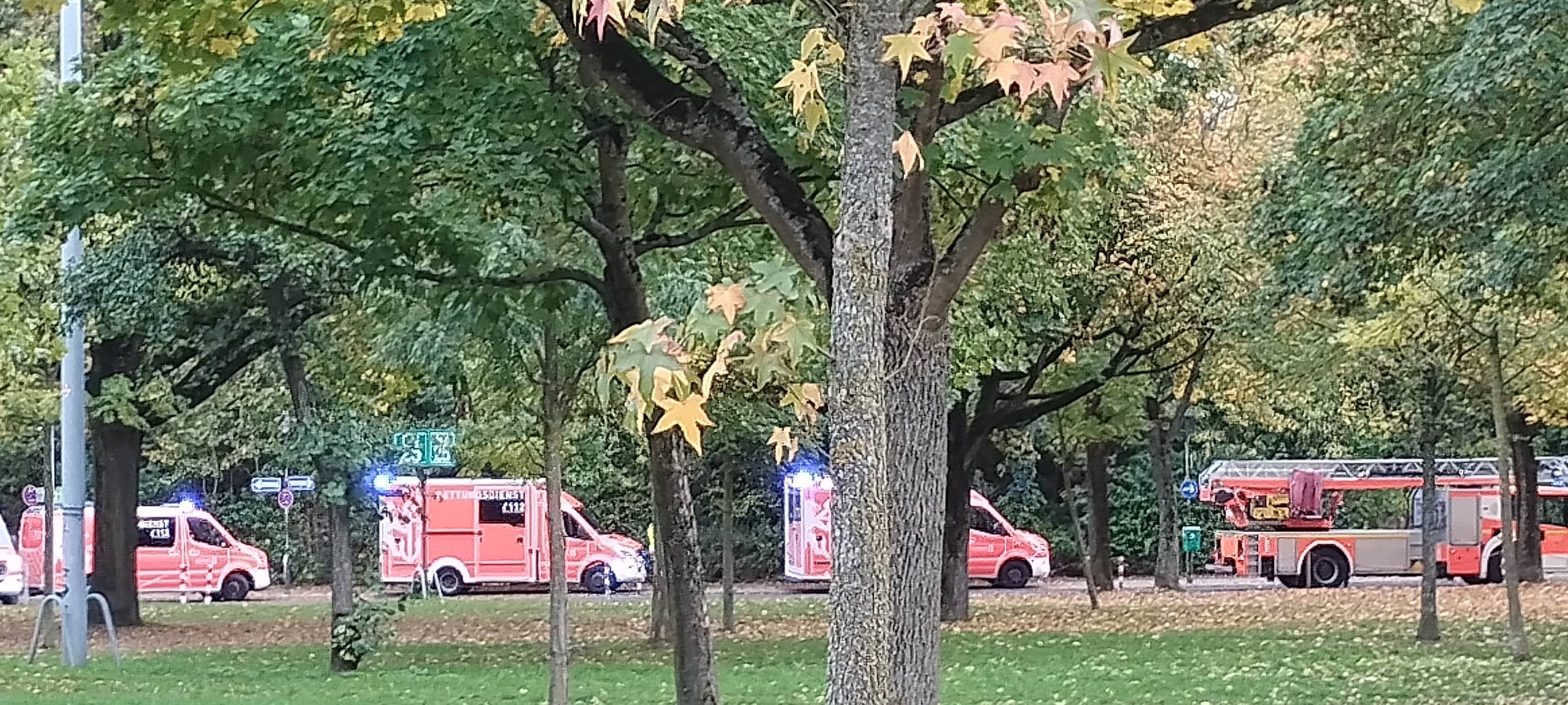 Mehrere Feuerwehrautos stehen in einer Reihe im Hintergrund, davor Bäume und eine Wiese.