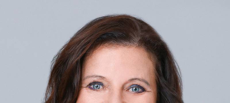 Hitze & Trockenheit: Auch Bäume können gestresst sein