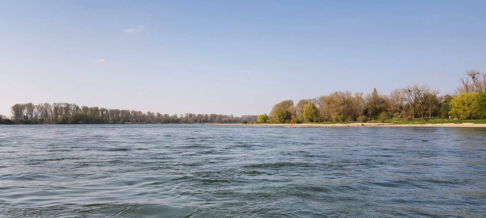 Ausblick auf die Wasserfläche des Rheins. Im Hintergrund ist das gegenüberliegende Ufer zu sehen.
