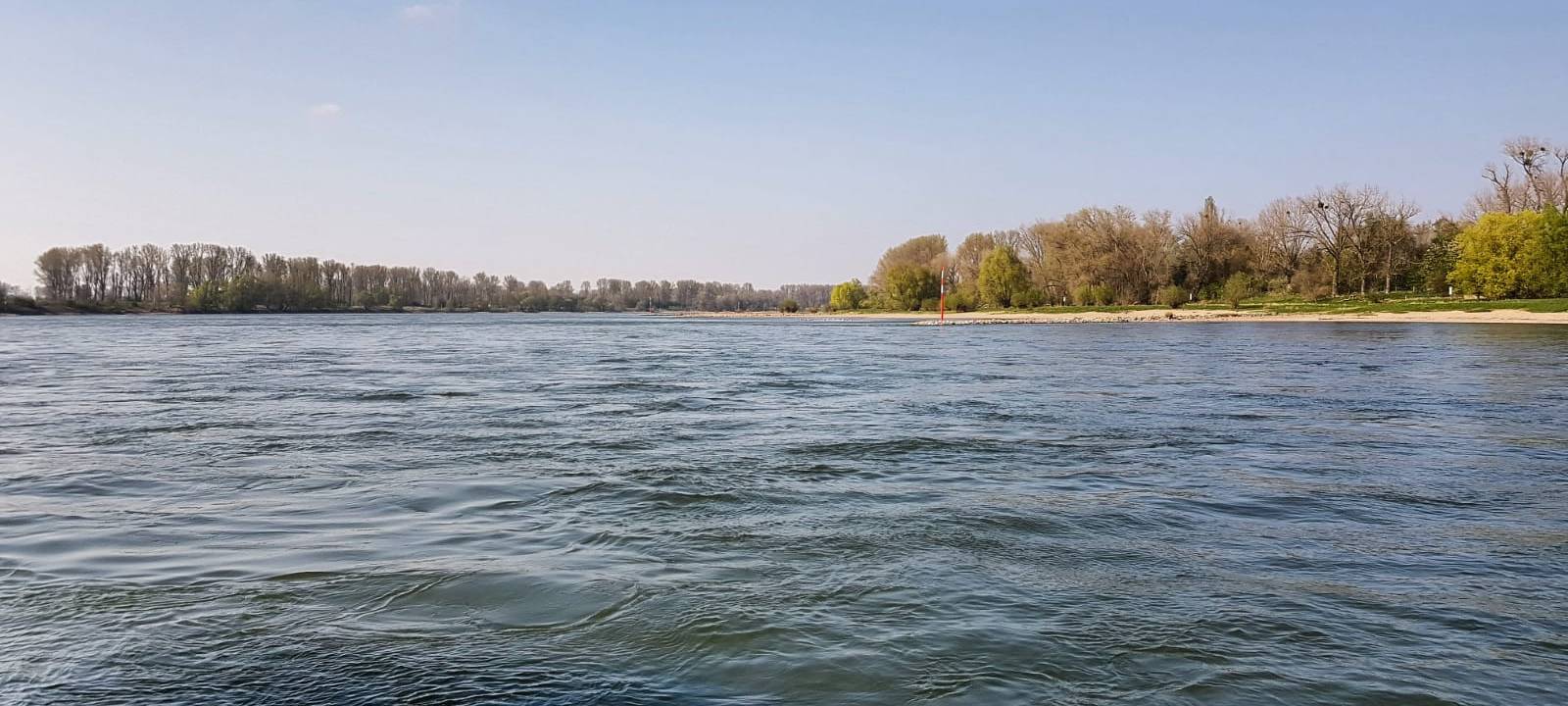 Düsseldorfer Ruder-Marathon auf dem Rhein
