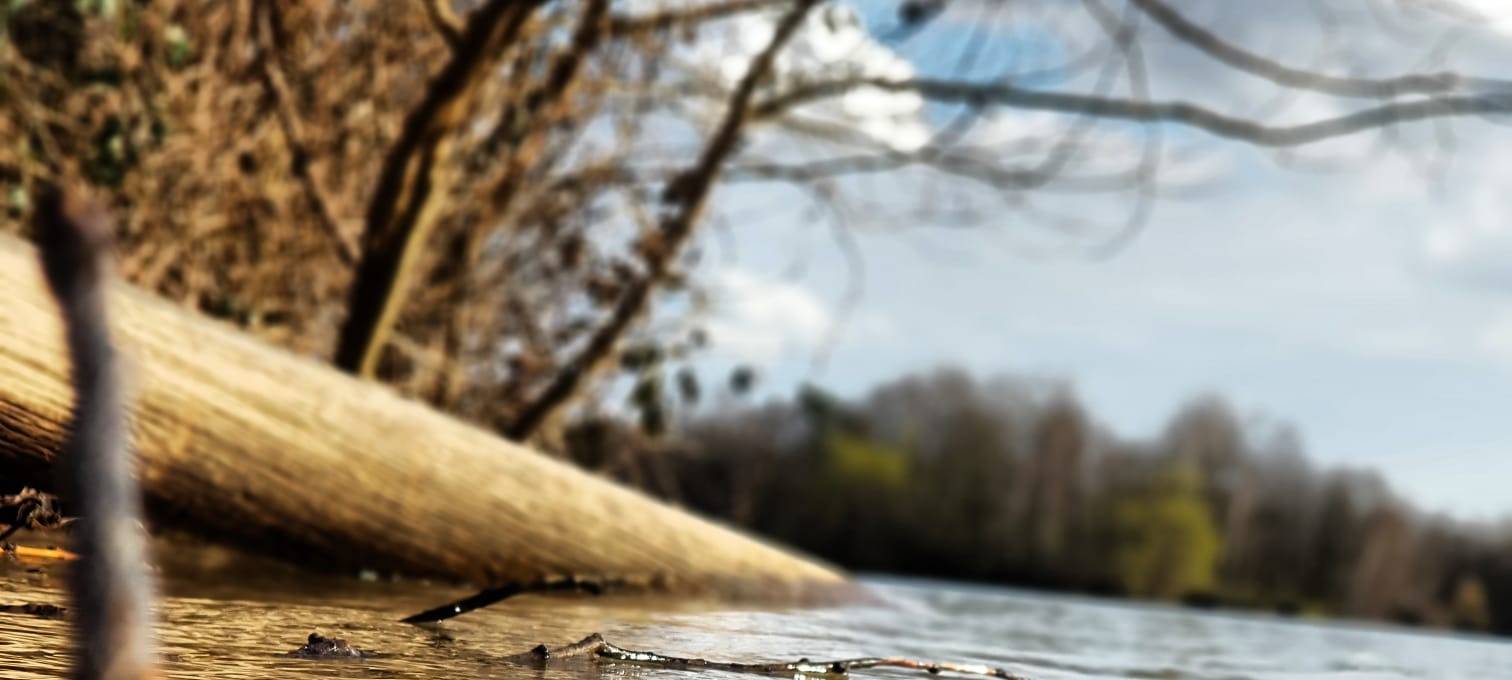 19. Juni bis 25. Juli - Zeit im Fluss. Auf den Spuren von Müll und seiner Geschichte