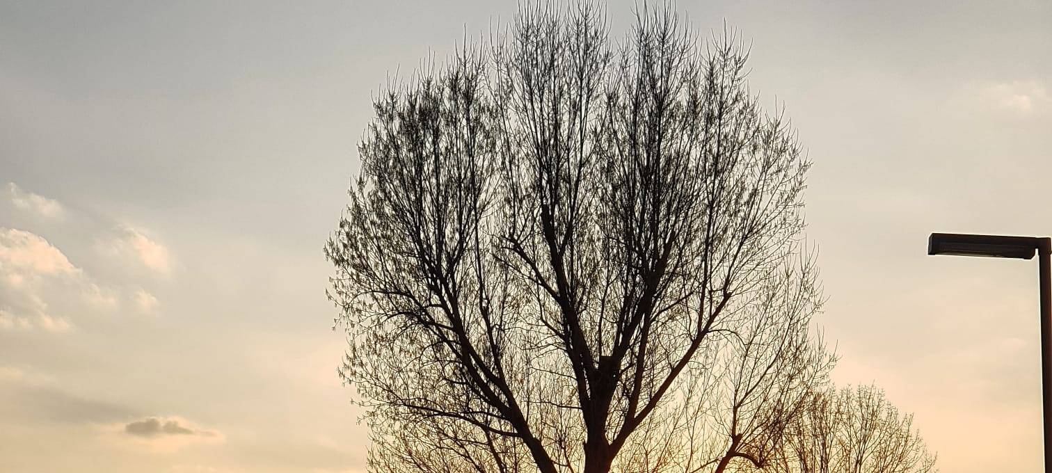 18. August 2023: Ausstellung "Im Gegenlicht"