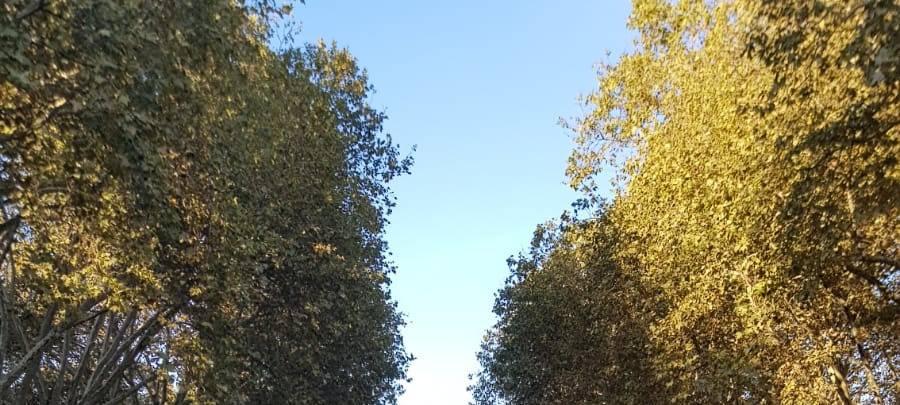 Düsseldorf: Neue Pläne für die Bankenseite der Kö