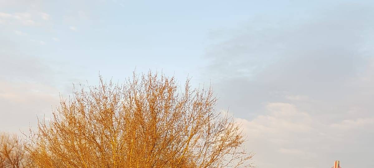Düsseldorf: Fleher Brücke wird neu gebaut