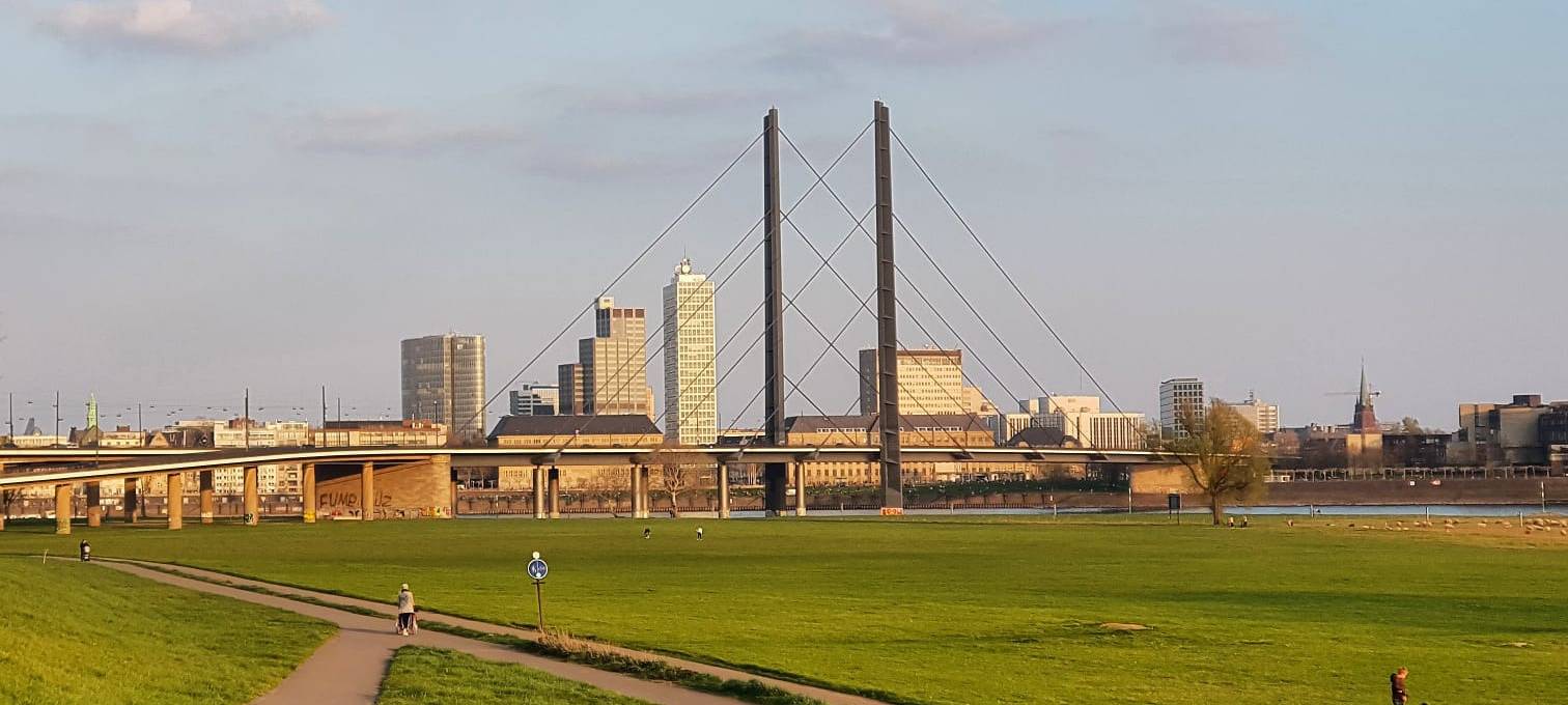 Ein Blick auf die Rheinkniebrücke von der Oberkasseler Seite aus.