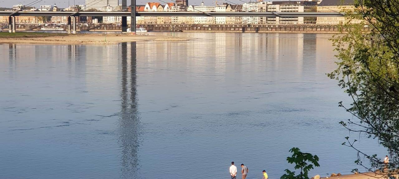 Ein Blick auf die Rheinkniebrücke. Im Vordergrund ist der Paradiesstrand zu erkennen.