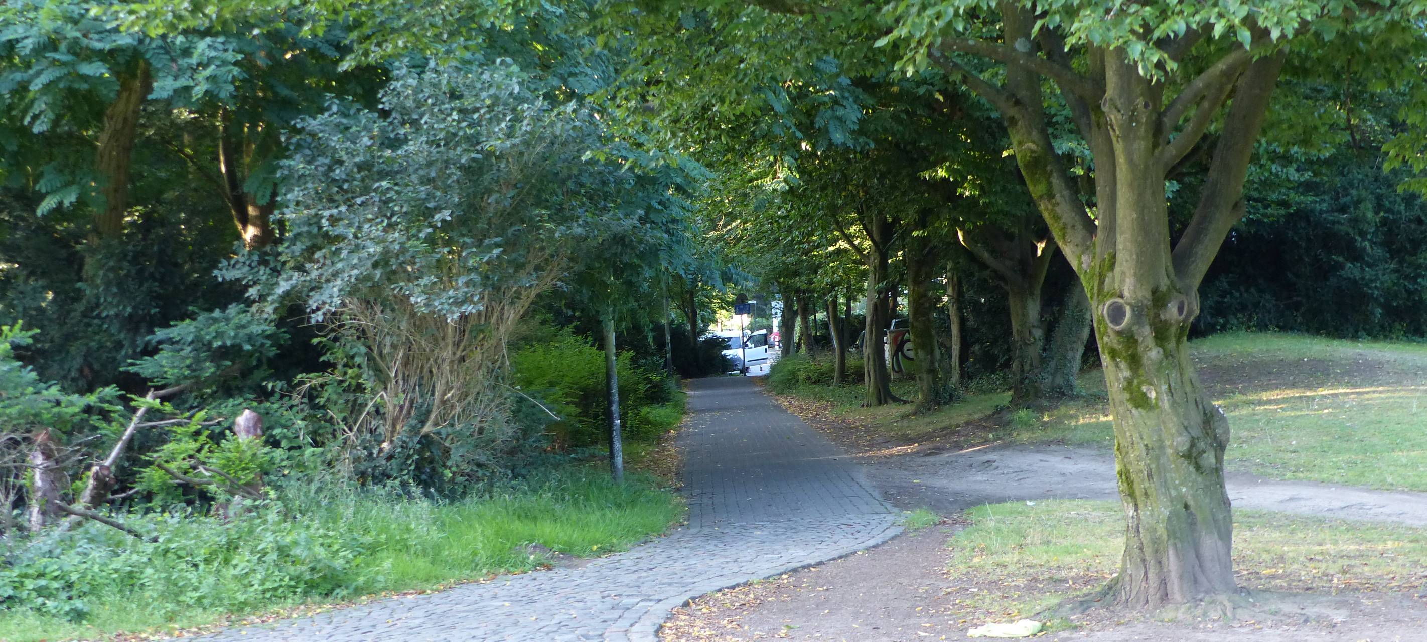 Zwischen Büschen führt ein mit Kopfstein gefplasterter Weg hindurch.