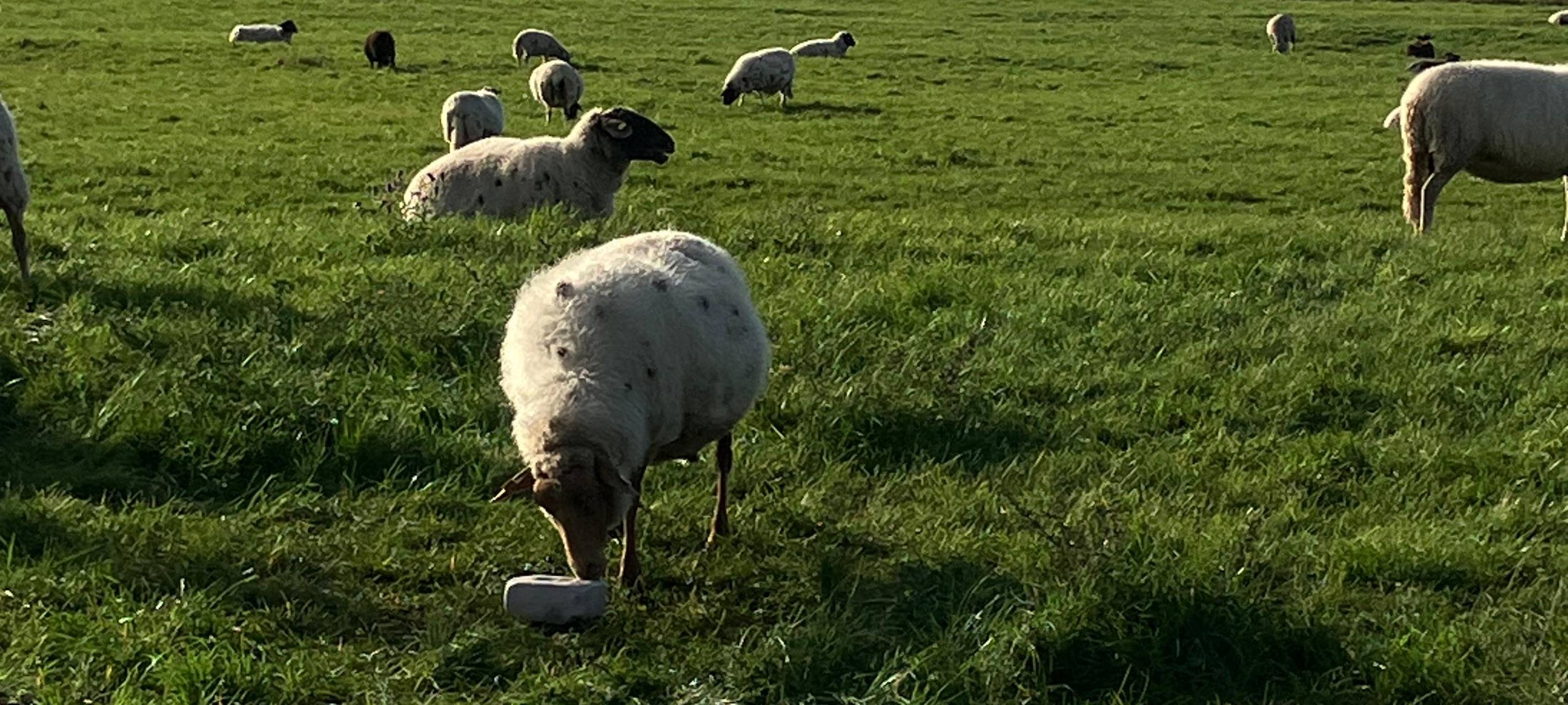 Voll im Trend: Stricken und Wolle in Düsseldorf