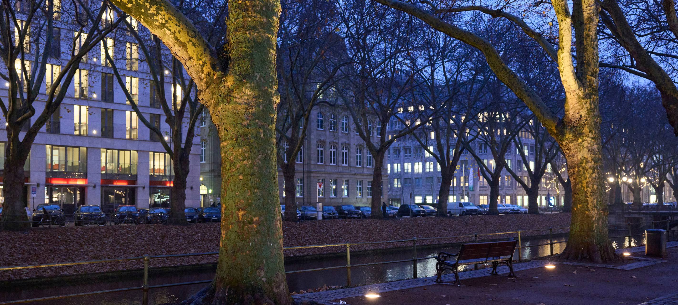 Blick in der Abenddämmerung von der Geschäftsseite der Kö aus über den Kö-Graben. Die Bäume und Gebäude werden von neuen Bodenleuchten angestrahlt.