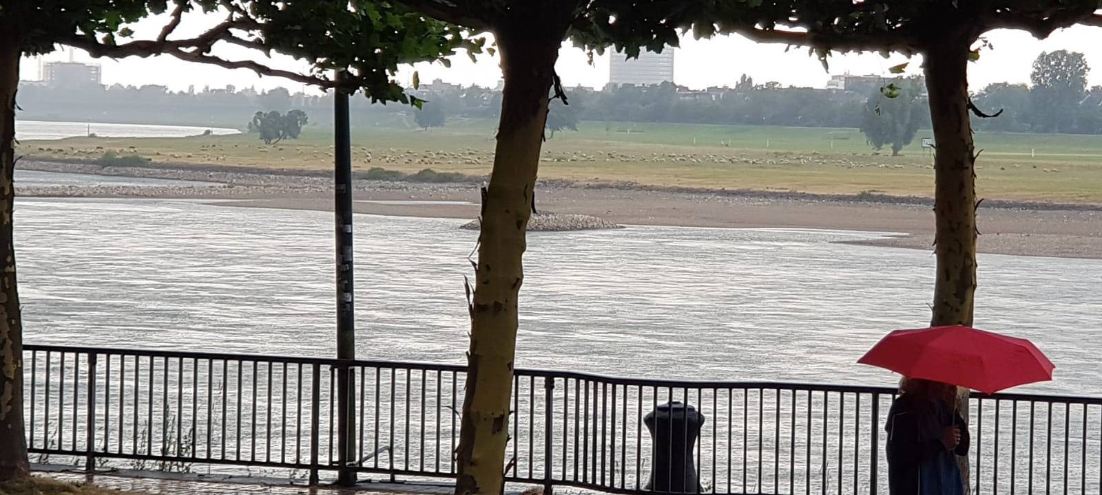 Frühling in Düsseldorf: Mild aber mit viel Regen