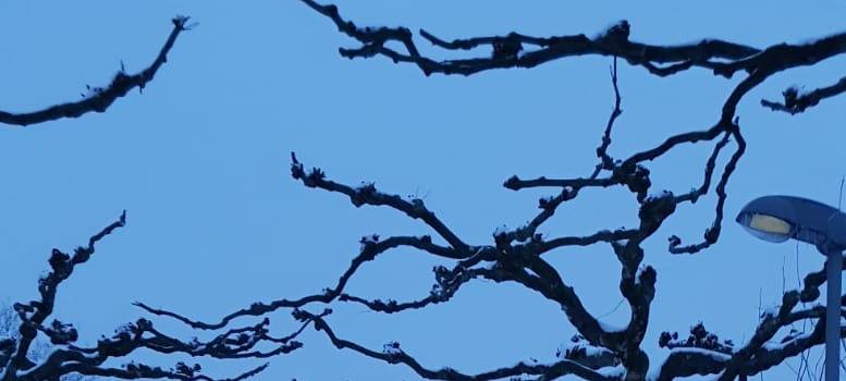 Düsseldorfer Winterdienst rückt aus