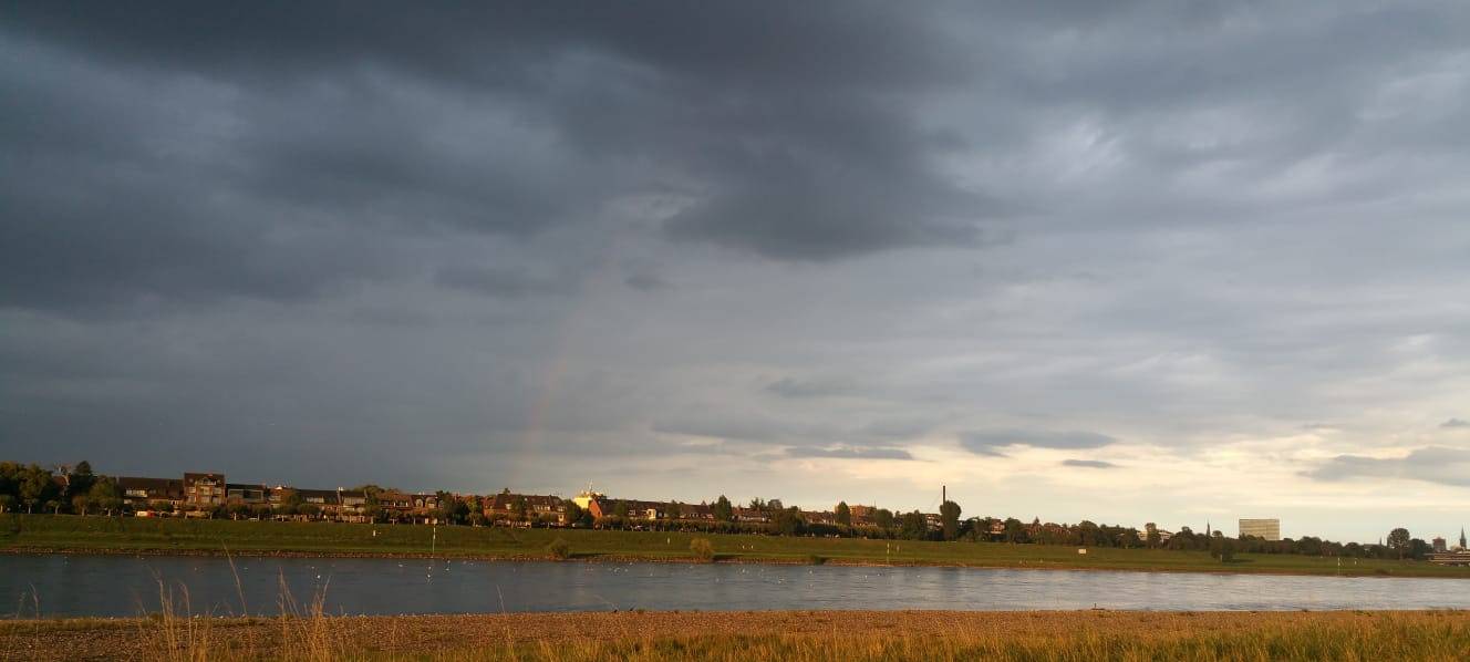 RhineCleanUp am Wochenende