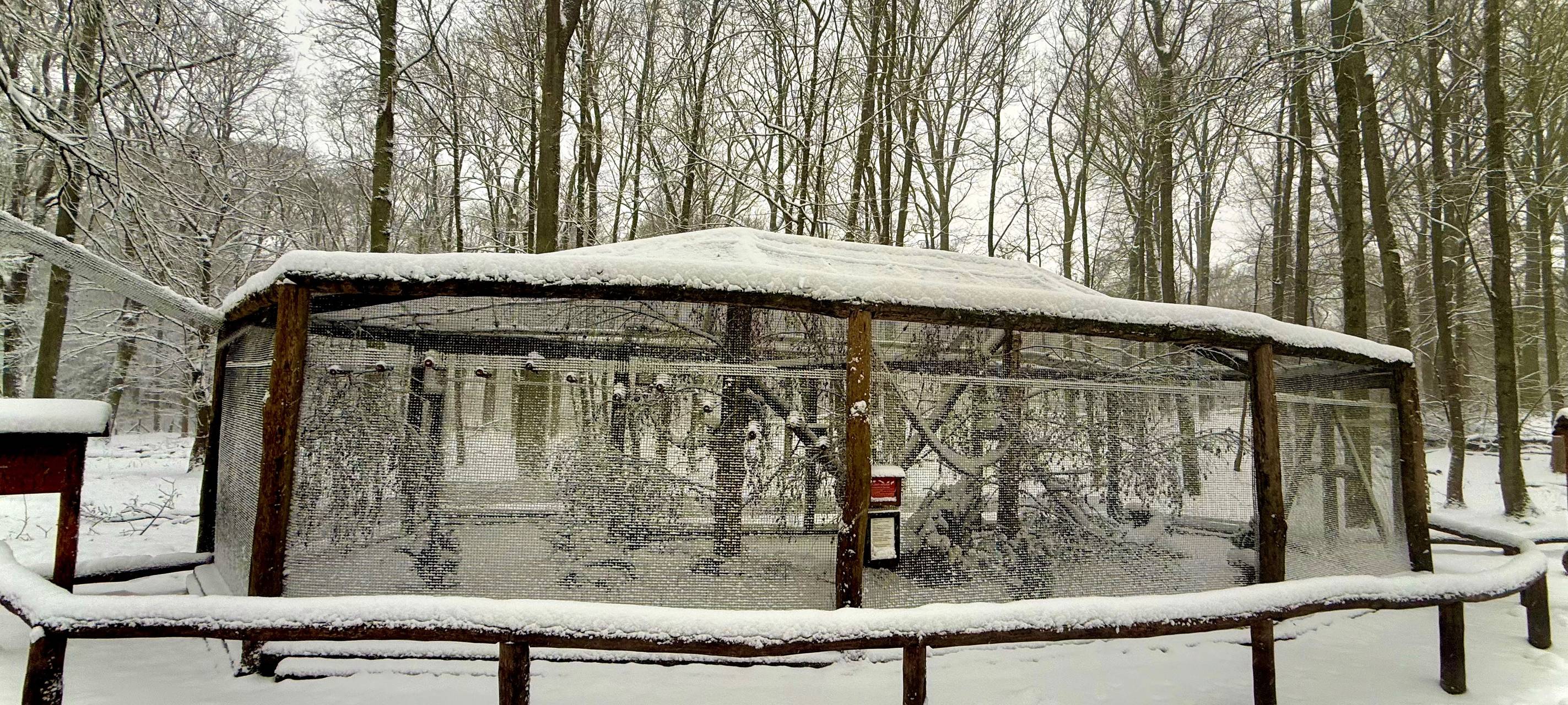 Das Eichhörnchengehege im verschneiten Wildpark Grafenberg