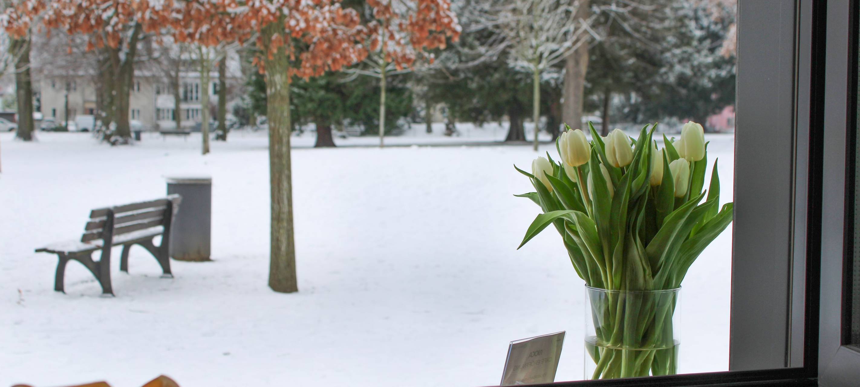 Im Vordergrund eine Anrichte, auf der eine orange Kerze steht, dann der Blick durch ein Fenster auf den verschneiten Sternwartpark, auf der Fensterbank stehen gelbe Tulpen.