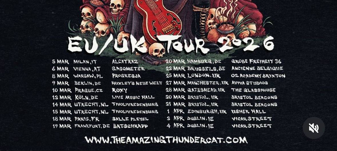 Das Tourplakat von Thundercat.