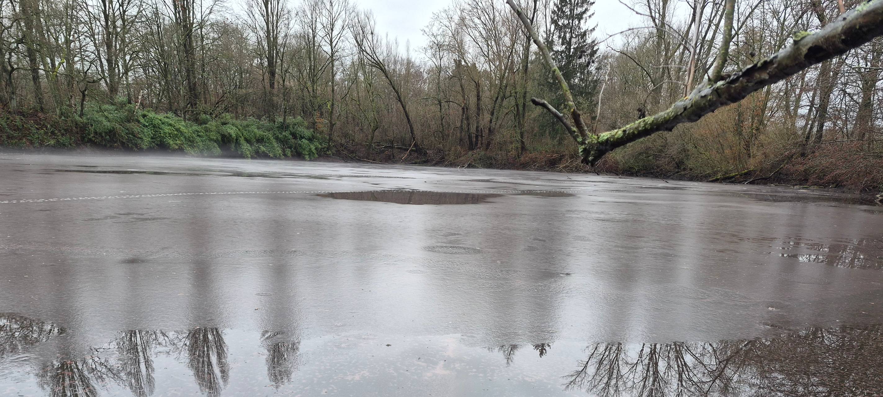Die Landeshauptstadt Düsseldorf warnt vor der giftigen Burgunderblutalge im Menzelsee.