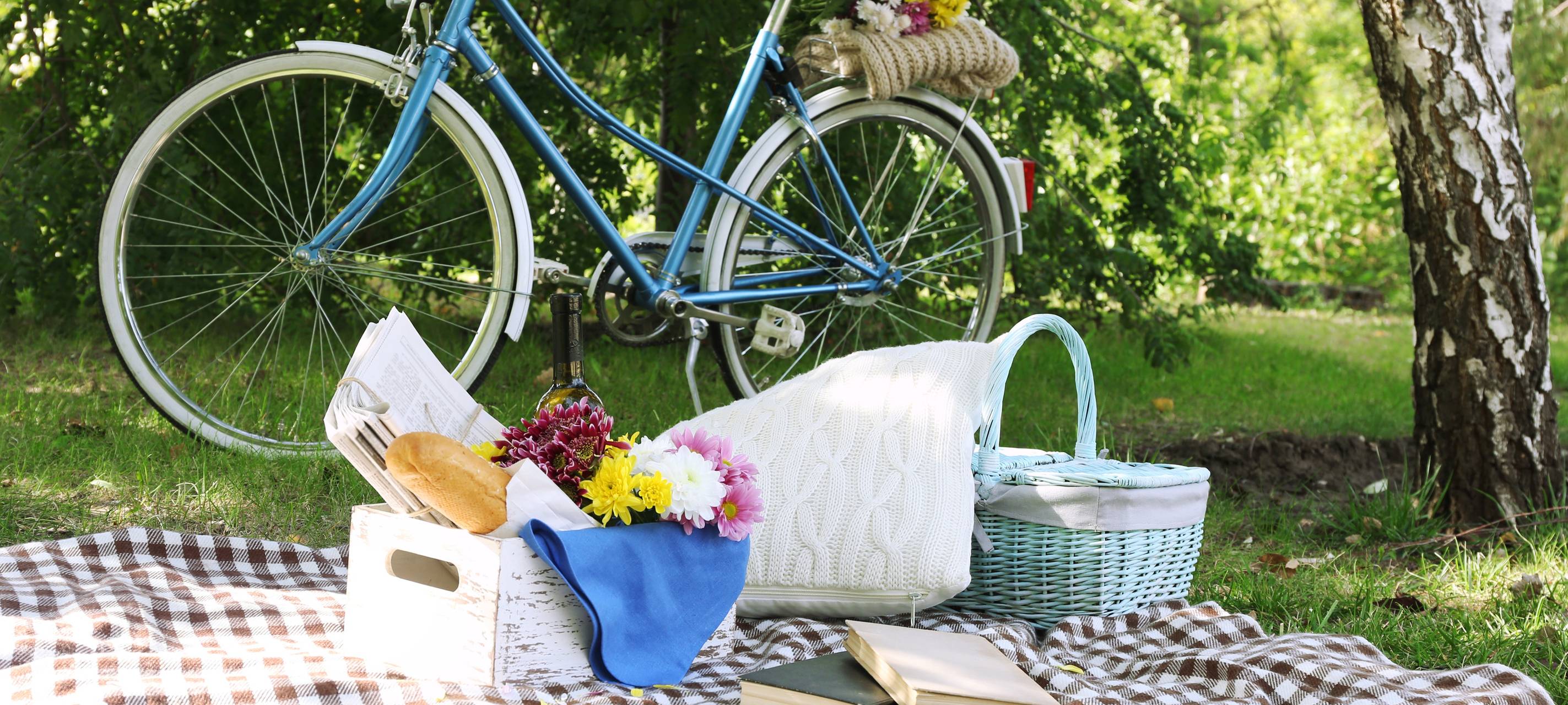 Ein blaues Vintage‑Fahrrad steht im Grünen; davor ein Picknick auf karierter Decke mit Korb, Blumen, Baguette, Flasche und Büchern.