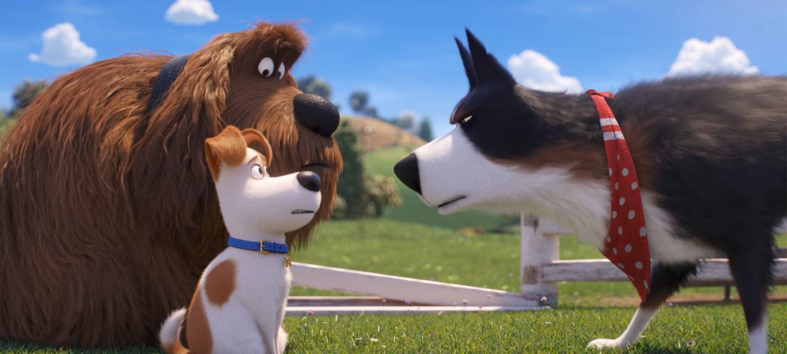 Hund Max mit seinen tierischen Freunden