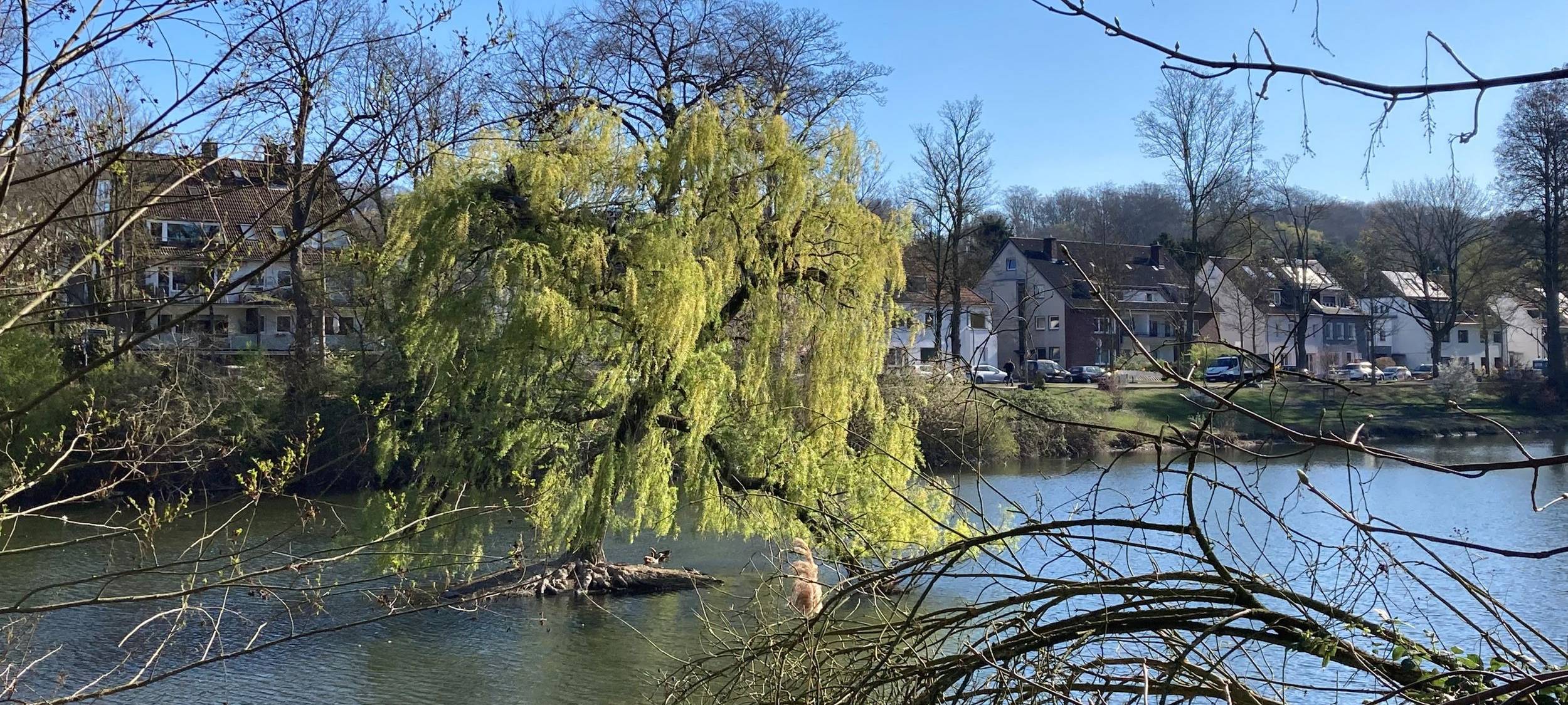 Ostparkweiher