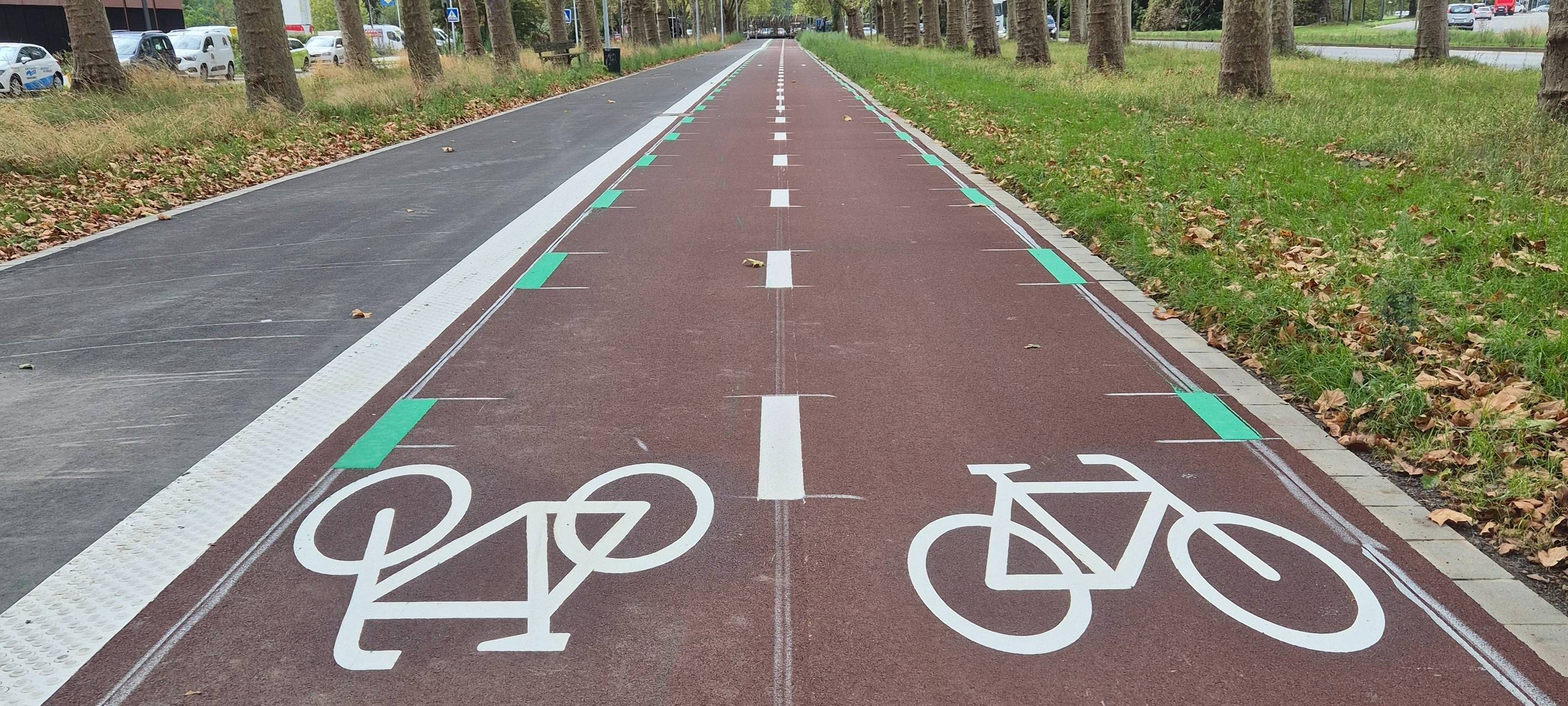 Der neue Radweg der Radleitroute entlang der Völklinger Straße und dem Luisengymnasium. Zwei Piktogramme zeigen Fahrradfahrern in welche Richtung sie fahren dürfen.