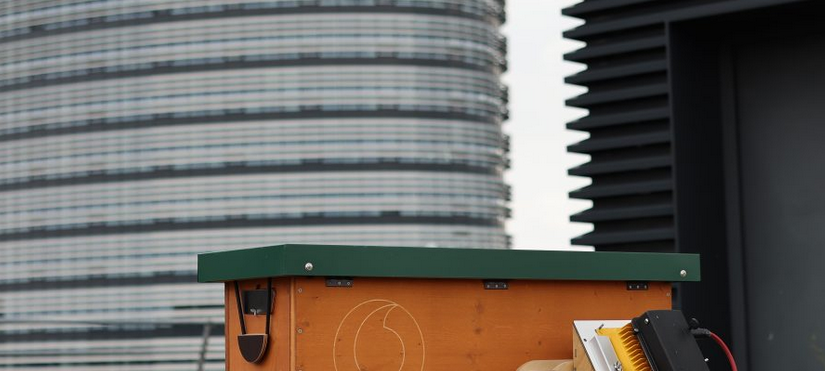 Düsseldorf: Vodafone nutzt Technik, um Bienen zu schützen