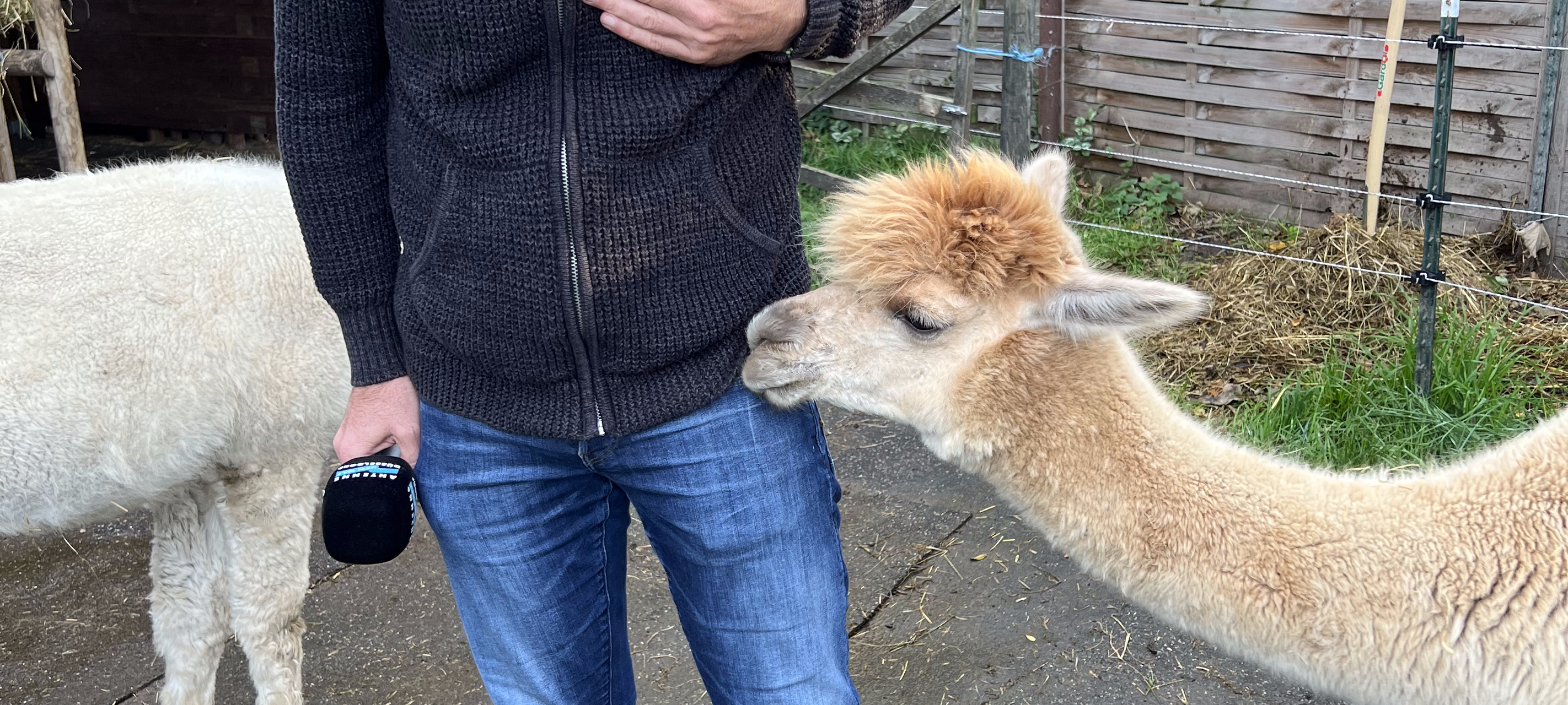 "Zu Besuch": Alina, Dennis & die Alpakas