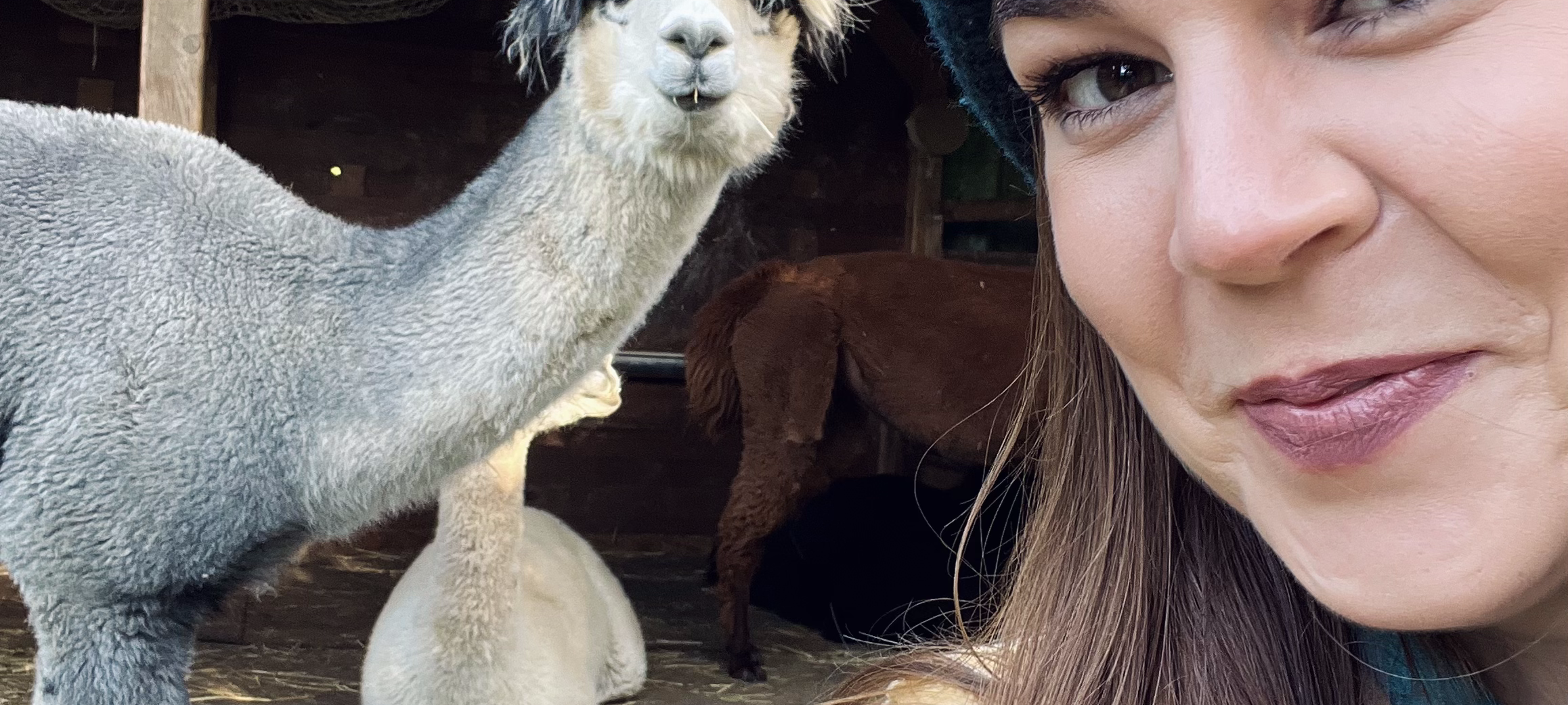 "Zu Besuch": Alina, Dennis & die Alpakas