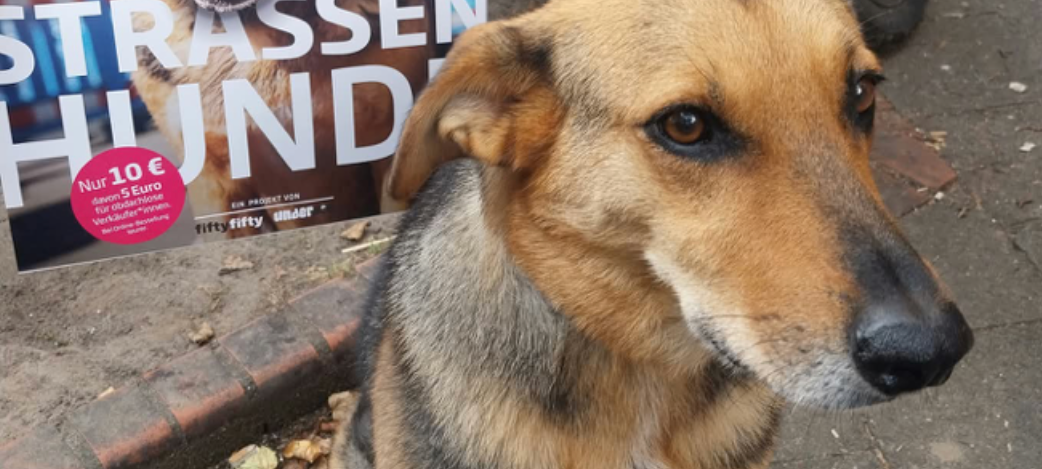 Hundekalender bei "fiftyfifty"