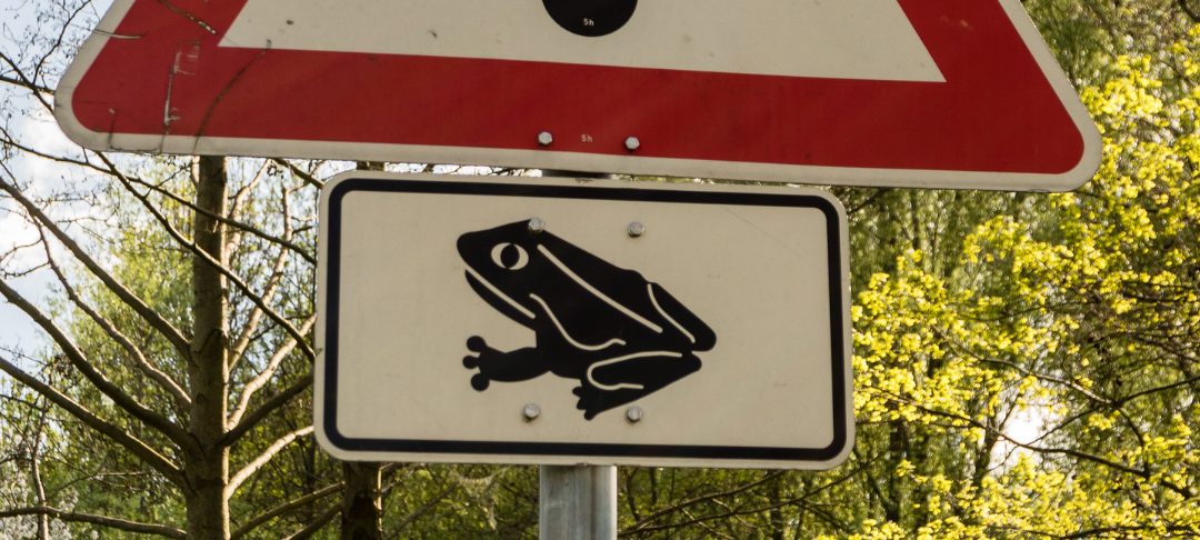 Warnschild Krötenwanderung vor Bäumen.