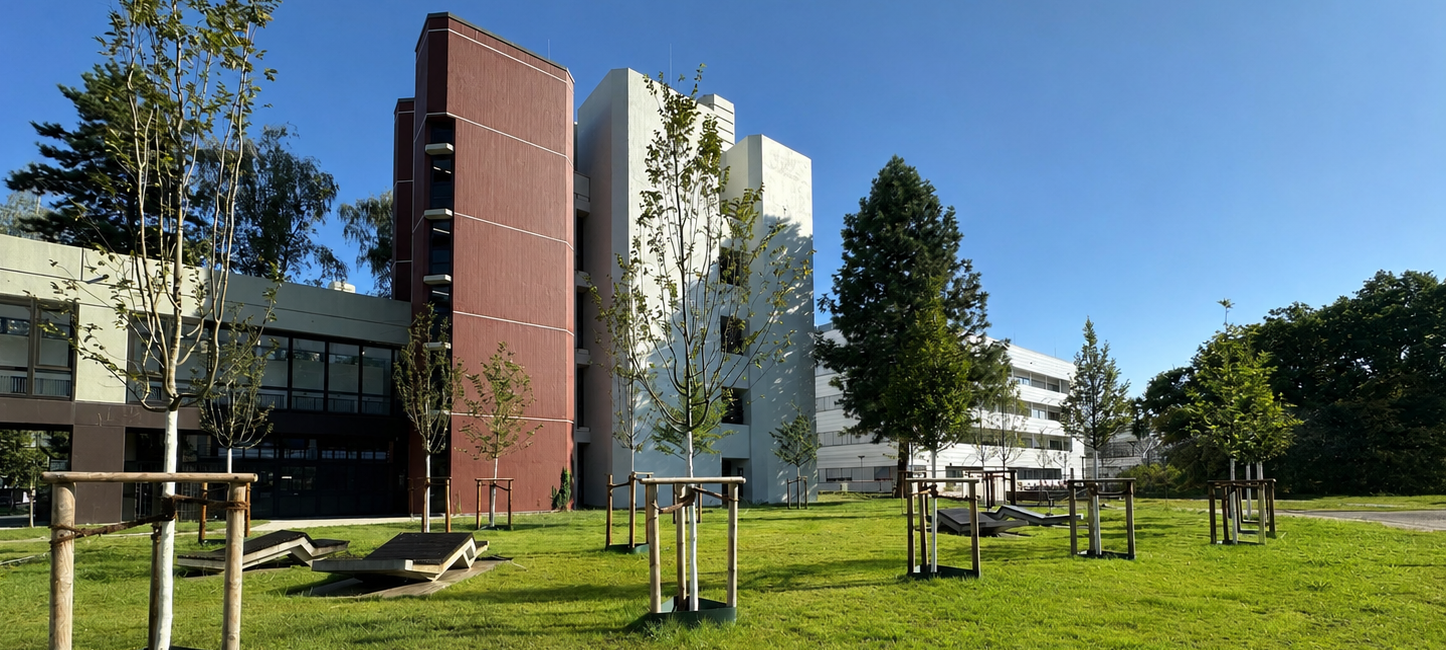 Ein Tiny Forest auf dem Campus der Heinrich-Heine-Universität. Angelegt vom Bau- und Liegenschaftsbetrieb des Landes Nordrhein-Westfalen.
